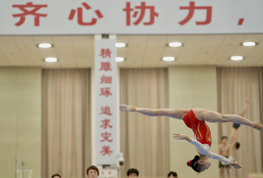 如何选择世界杯冠军投注选项